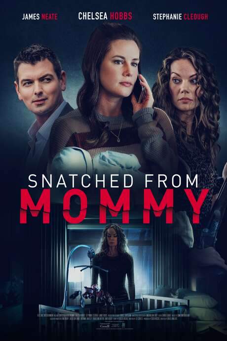 Snatched from Mommy (2021) movie poster