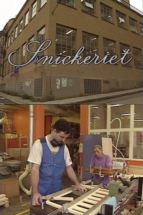 Set in Spångens Snickeri in Norrköping, the documentary follows a group of disabled and unconventional workers as they each contribute according to their abilities. It explores the fundamentals of life—community, love, and the meaning of difference—showing ordinary moments in a fresh, illuminating perspective.