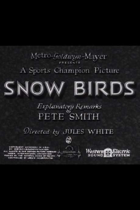 Snow Birds (1932) movie poster