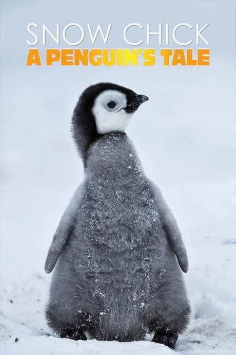 Snow Chick - A Penguin’s Tale (2015) movie poster