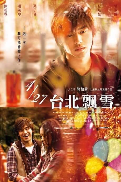 Snowfall in Taipei (2009) movie poster