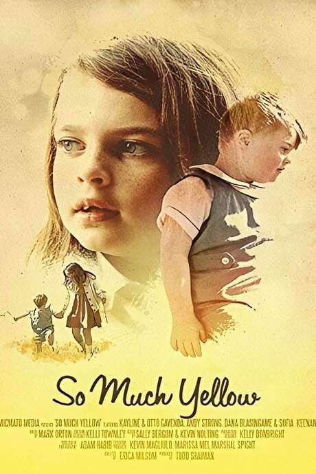 So Much Yellow (2017) movie poster
