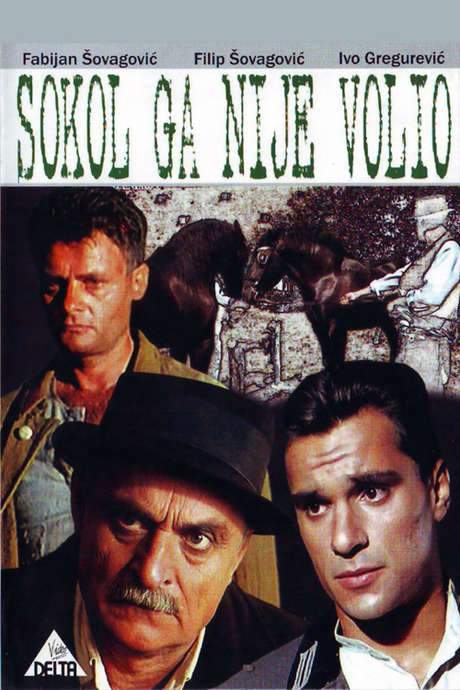 Sokol Did Not Love Him (1988) movie poster