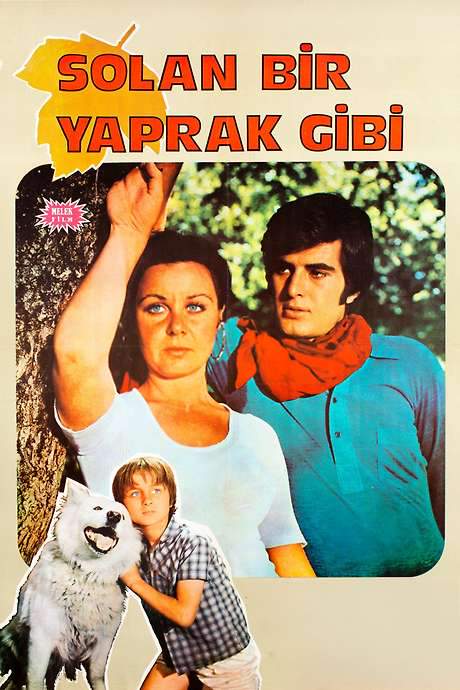 Solan Bir Yaprak Gibi (1971) movie poster