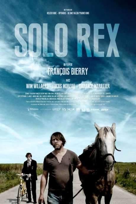 Solo Rex (2014) movie poster