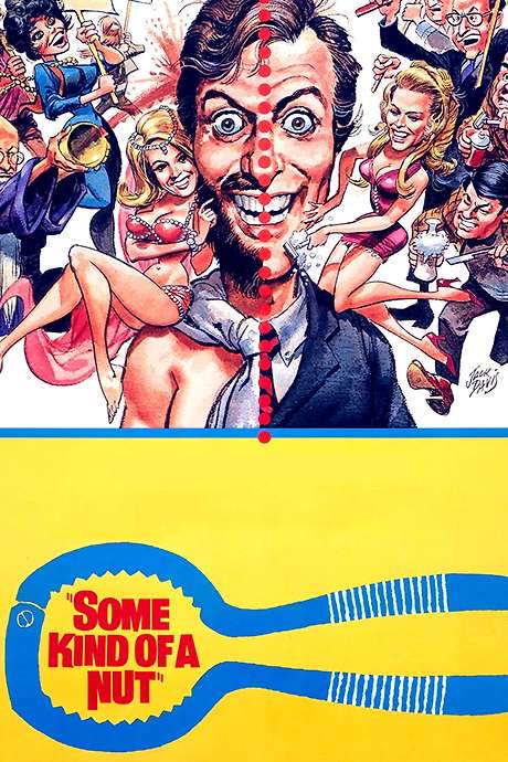 Some Kind of a Nut (1969) movie poster