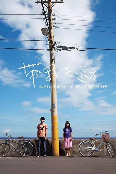 Somewhere I Have Never Travelled (2009) movie poster