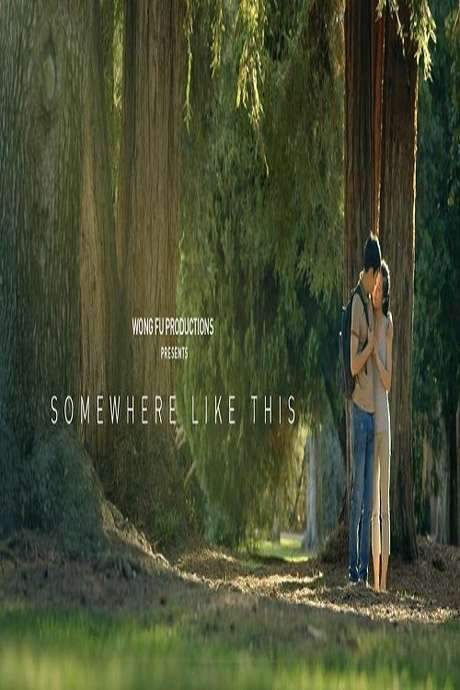 Somewhere Like This (2013) movie poster