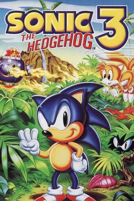 Sonic 3 Bonus Video (2020) movie poster