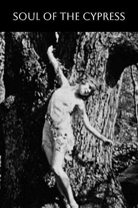 Soul of the Cypress (1921) movie poster