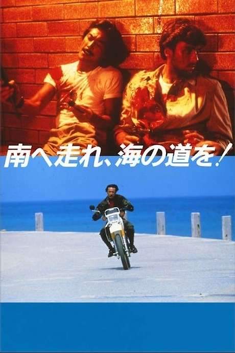 South to the Horizon (1986) movie poster