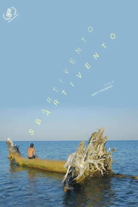 Set against the backdrop of the Mediterranean, this film portrays a grandmother determined to cherish every moment with her grandson, Ariele. As summer settles in, she navigates a landscape of routine and sunshine, striving to find happiness and connection. It's a tender and poetic exploration of life, family, and appreciating the simple joys that remain.