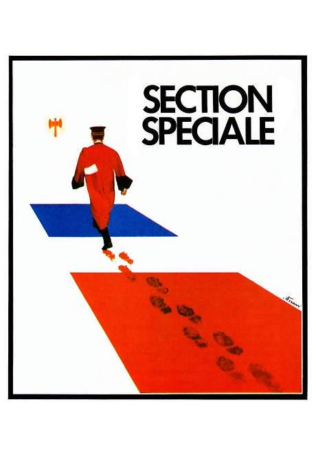 Special Section (1975) movie poster
