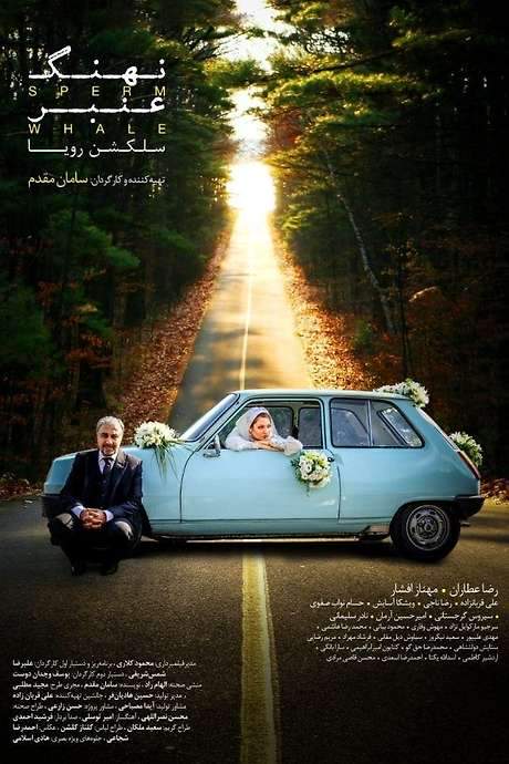 Sperm Whale: Roya’s Selection (2017) movie poster