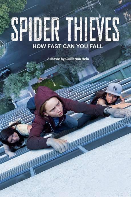 Spider Thieves (2017) movie poster