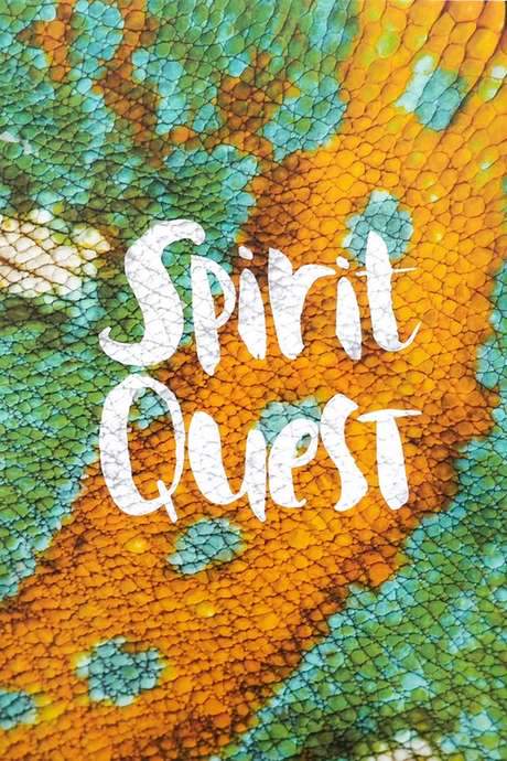 Spirit Quest (2016) movie poster
