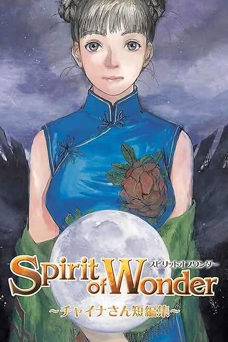 Spirit of Wonder: Miss China Short Stories (2004) movie poster