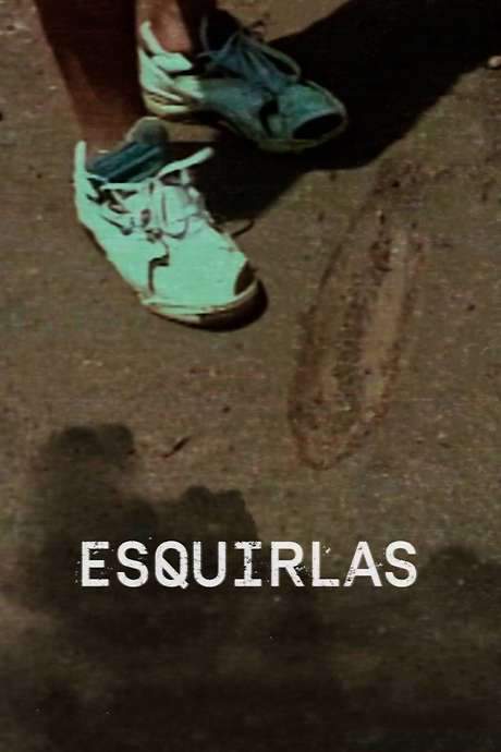 On November 1995, an explosion at the Rio Tercero Military Factory in Cordoba, Argentina, sent thousands of projectiles across nearby villages, resulting in seven deaths and hundreds of injuries. Twelve-year-old Natalia Garayalde unknowingly captured the immediate aftermath and subsequent days with her father’s video camera, documenting her family’s escape and the community's struggle. Twenty-five years later, this candid footage offers a poignant and emotional account of the tragedy, revealing the impact on a family and a city grappling with loss and unanswered questions.