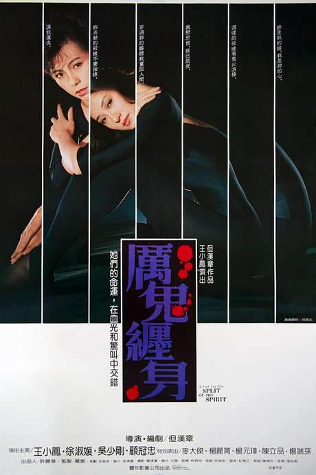 Split of the Spirit (1987) movie poster