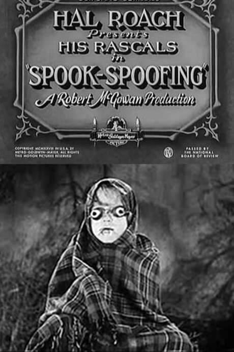Spook Spoofing (1928) movie poster
