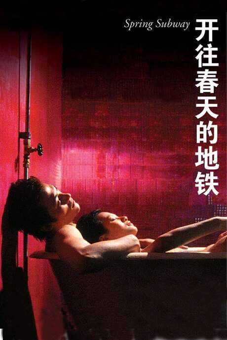 Spring Subway (2002) movie poster
