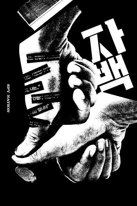 Spy Nation (2016) movie poster