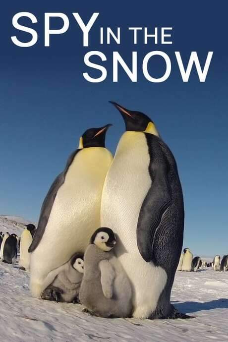 Spy in the Snow (2018) movie poster