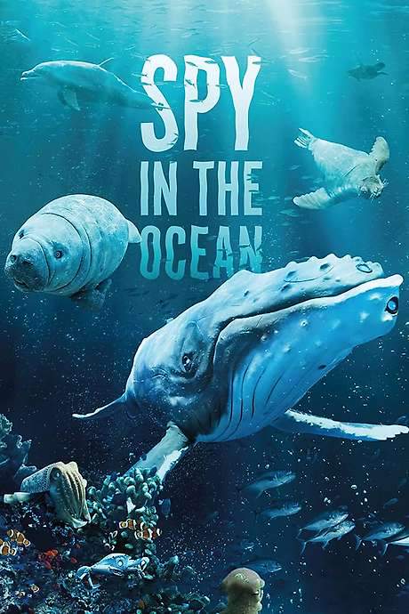 Spy in the Ocean, A Nature Miniseries (2023) movie poster