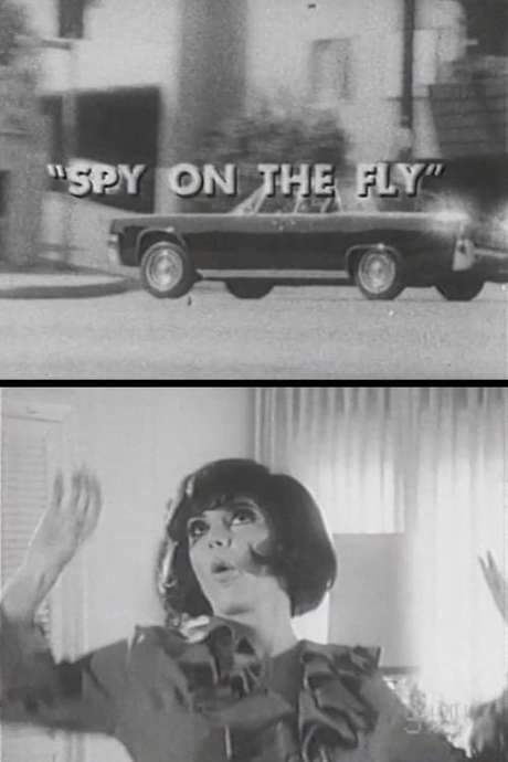 Spy on the Fly (1967) movie poster