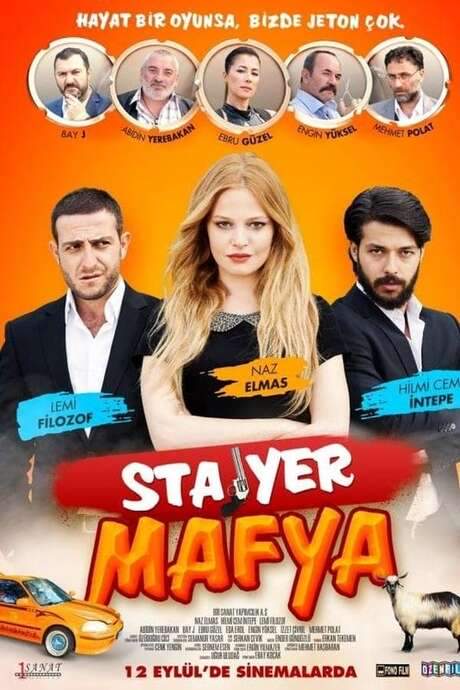 Stajyer Mafya (2014) movie poster