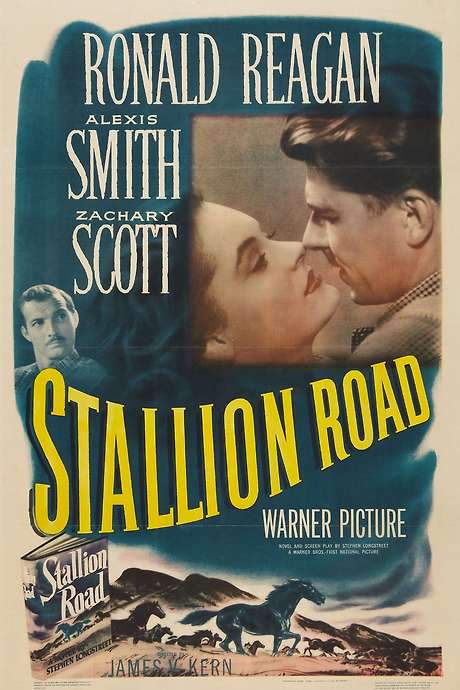 Stallion Road (1947) movie poster