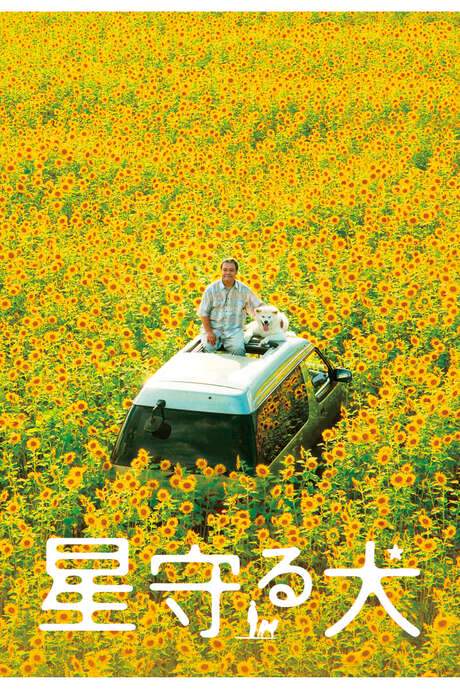Star Watching Dog (2011) movie poster