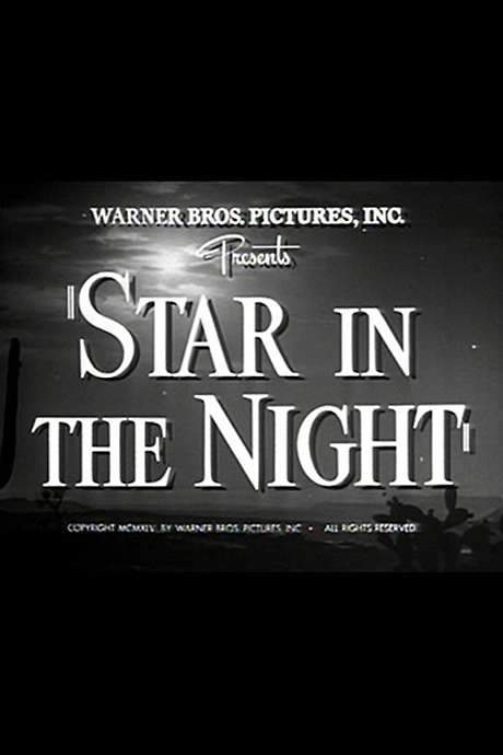 Star in the Night (1945) movie poster