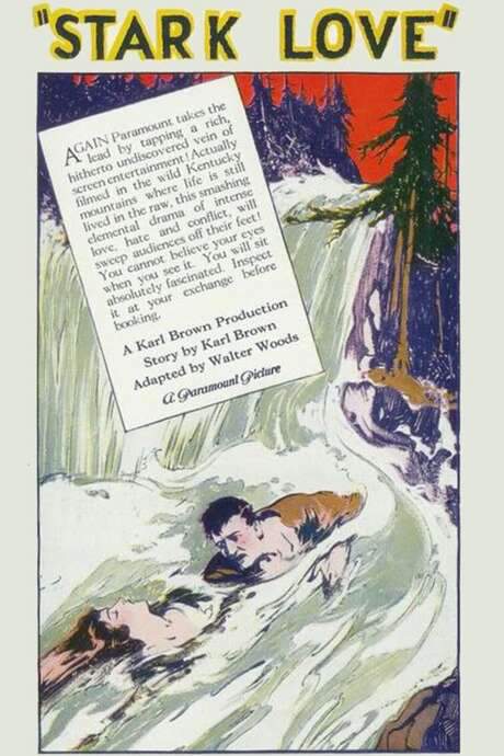 Stark Love (1927) movie poster