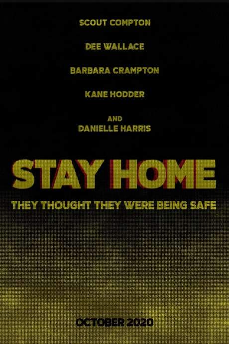 Stay Home (2020) movie poster