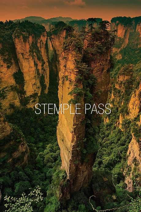 Stemple Pass (2012) movie poster