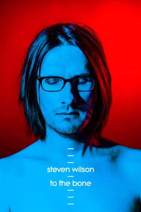 Steven Wilson: Ask Me Nicely - The Making of To The Bone (2017) movie poster