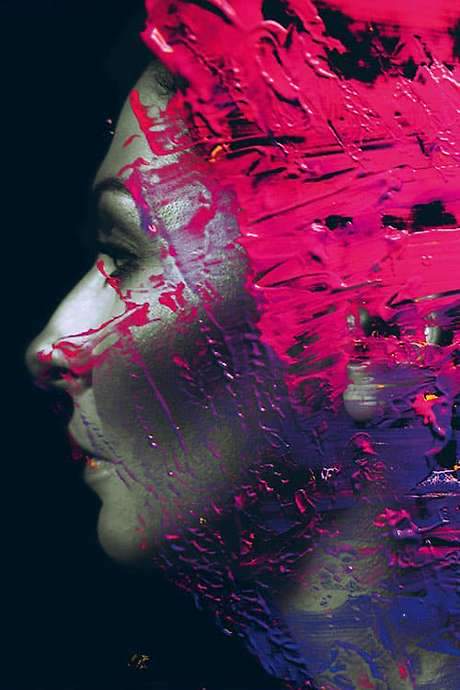 Steven Wilson: Hand. Cannot. Erase. (2015) movie poster
