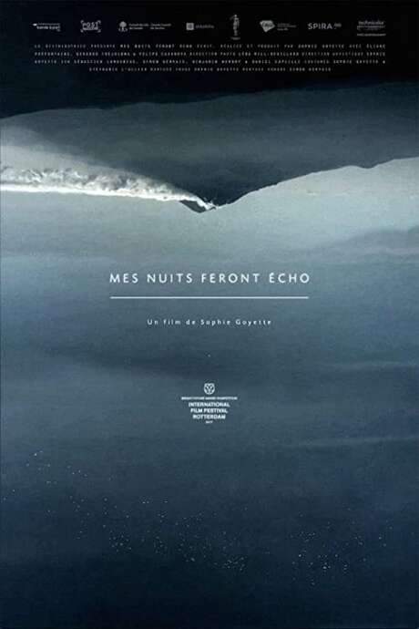Still Night, Still Light (2016) movie poster