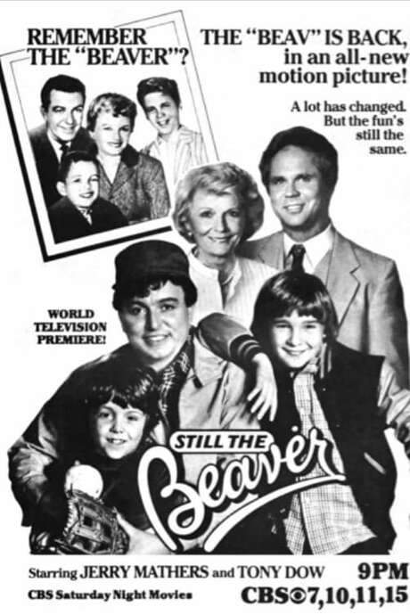 Still the Beaver (1983) movie poster