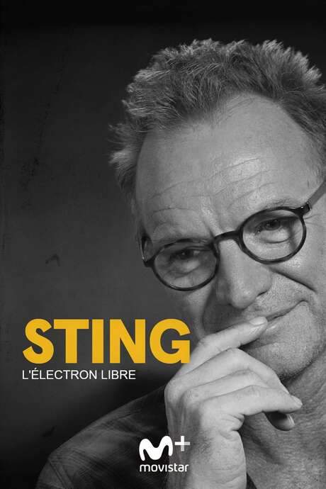Sting: A Free Man (2017) movie poster