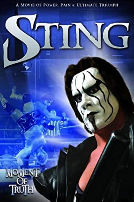 Sting: Moment of Truth (2004) movie poster