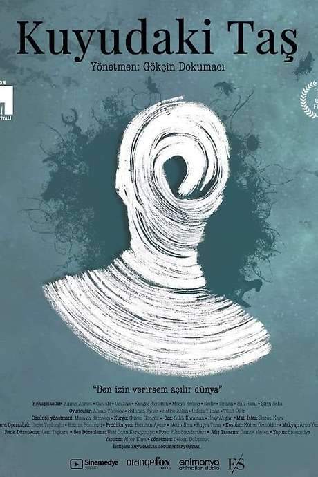 Stone in the Well (2020) movie poster