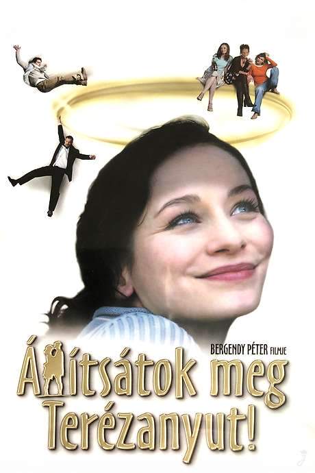 Stop Mom Theresa! (2004) movie poster