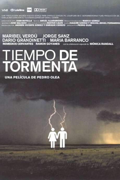 Stormy Weather (2003) movie poster
