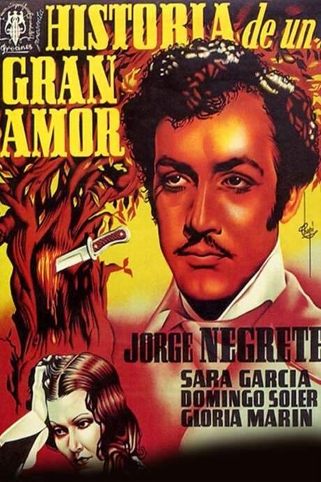 Story of a Great Love (1942) movie poster