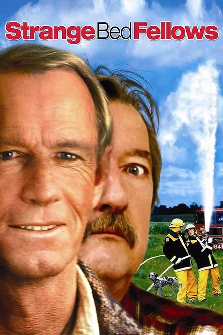 Strange Bedfellows (2004) movie poster