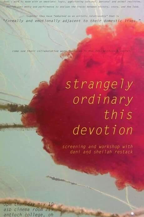Strangely Ordinary This Devotion (2017) movie poster