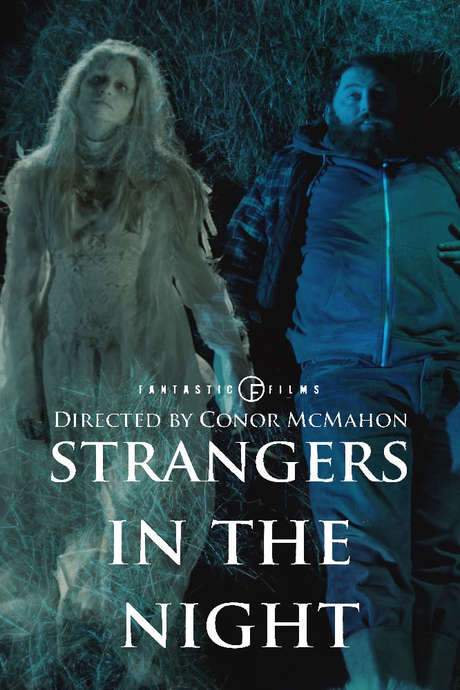 Strangers in the Night (2015) movie poster