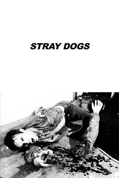 Stray Dogs (1985) movie poster